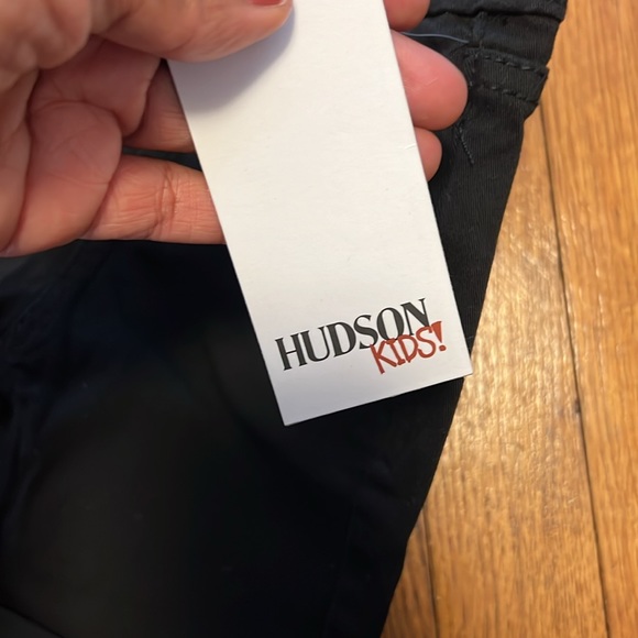 Hudson Kids Shirt & Shorts Set Size 4T NWT - Picture 7 of 7